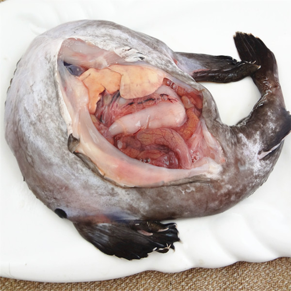 海之沃新款冷冻水产老头鱼结巴鱼丑婆海鲜肉质细腻 速冻 安康鱼
