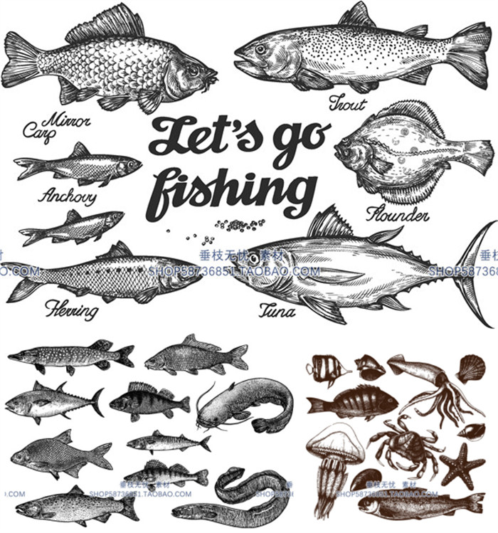 A3545矢量复古手绘鱼类海洋生物插画 AI设计素材