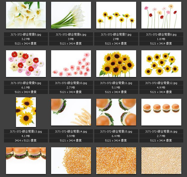 花枝花朵 汉堡包 三明治 食品食材 水果蔬菜 背景图片素材图库