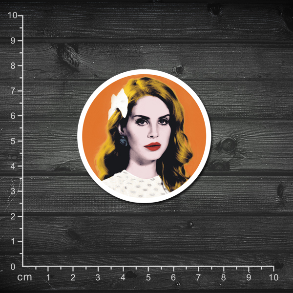 单张 复古 波普风格 Lana Del Rey 笔记本贴纸 音箱贴纸 吉他贴纸