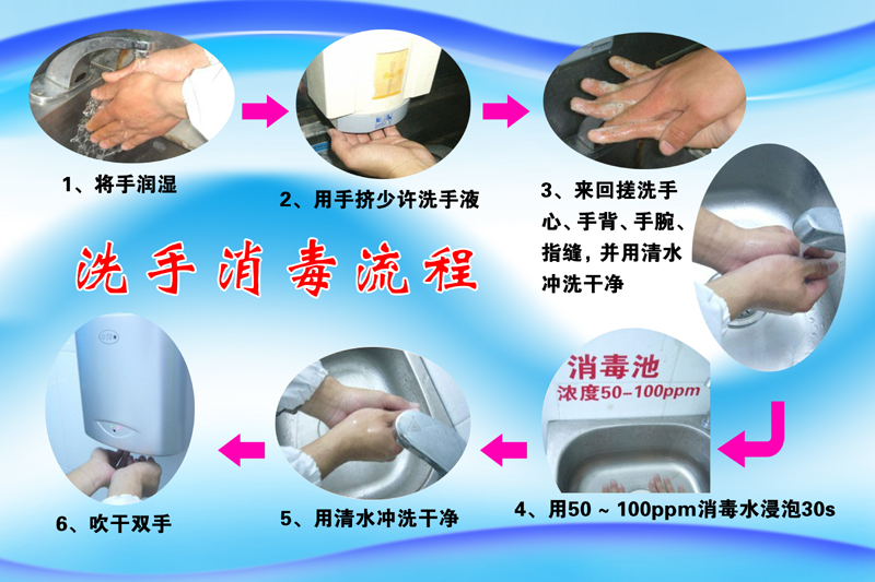 洗手消毒流程洗手顺序标牌清洗双手标语标志墙贴指示提示标牌定制