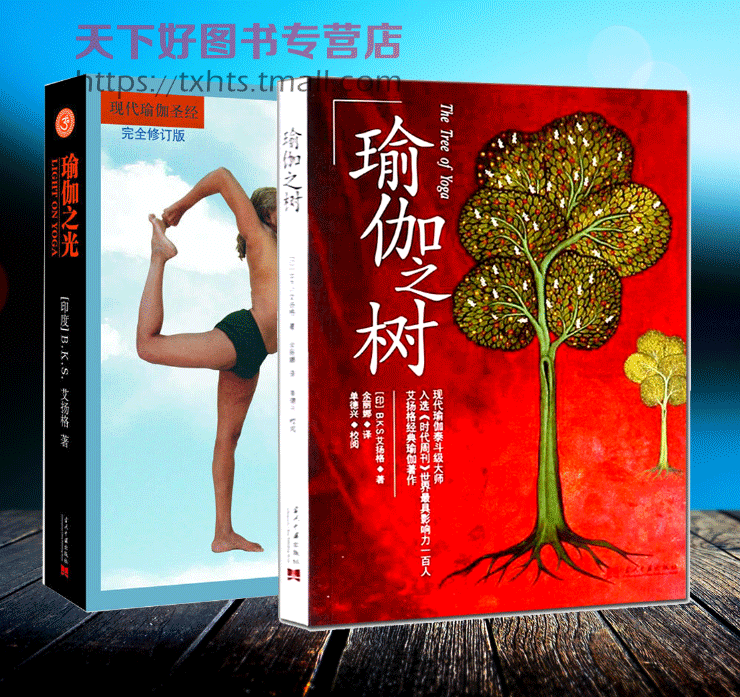 全2册 瑜伽之树+瑜伽之光 艾扬格 B.K.S.Iyengar 瑜伽体式书瑜伽练习方法瑜伽教练练习者艾扬格瑜伽学院教材教程 瑜伽哲学书籍