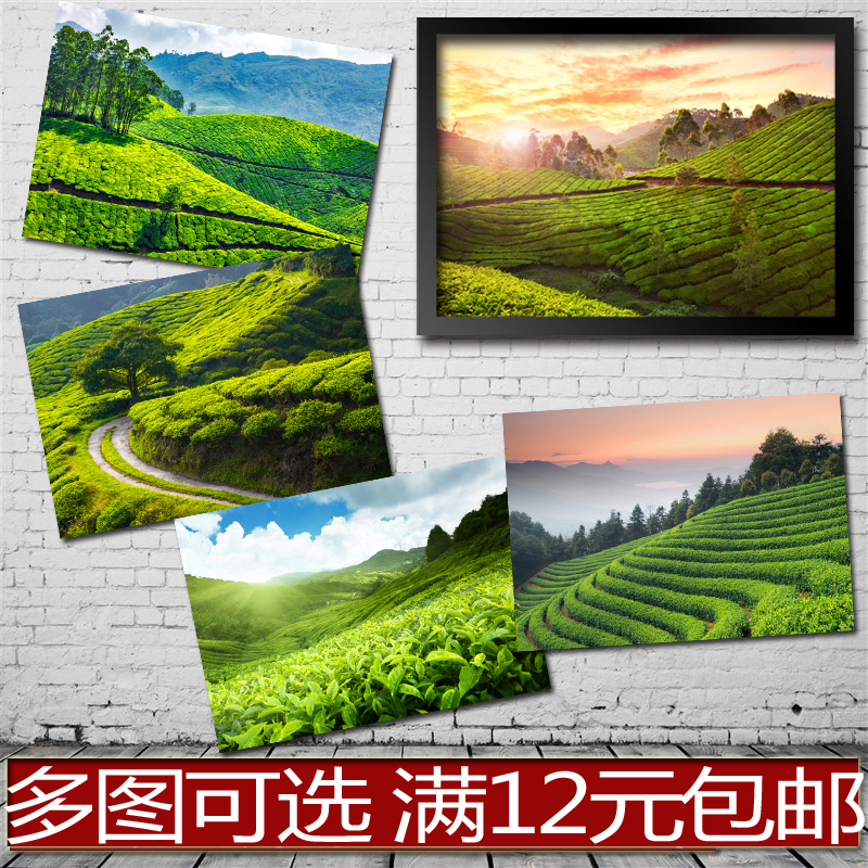 茶山风景画