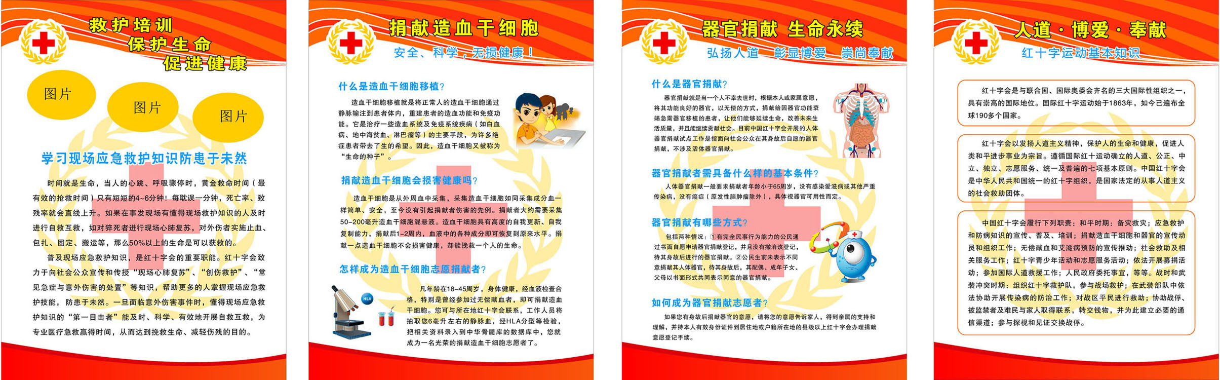 728海报印制展板写真喷绘贴纸844红十字会器官捐献宣传知识 (2)
