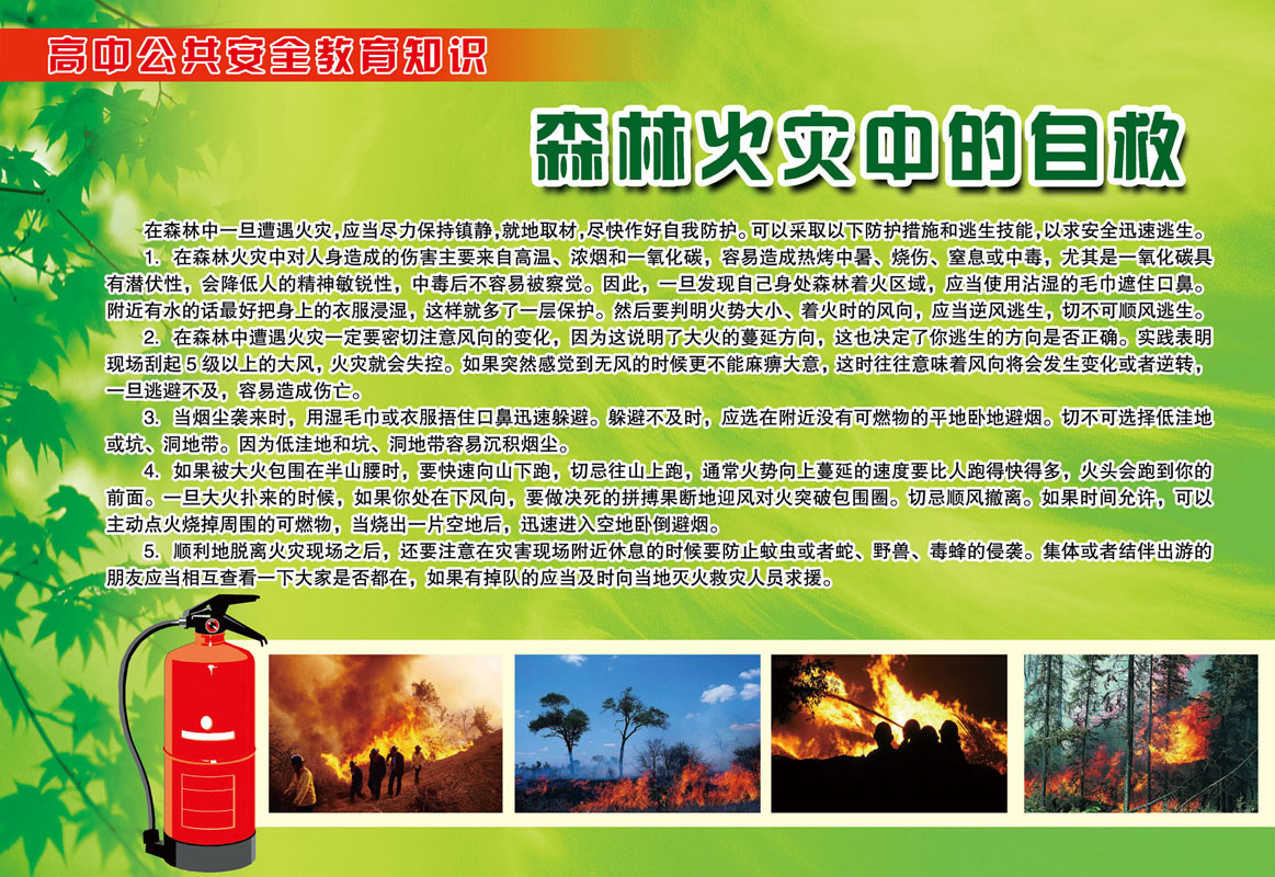 208画布海报展板喷绘贴纸素材1730 高中安全教育森林火灾的自救