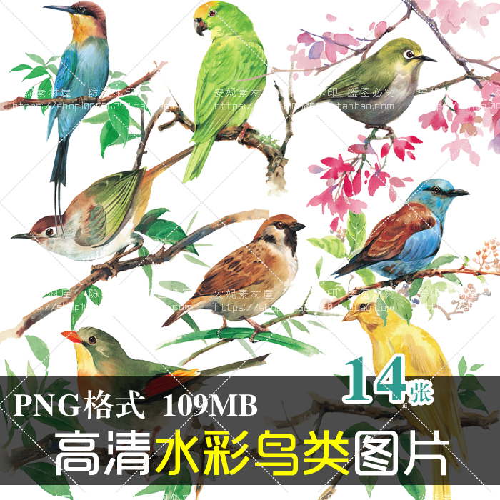 (J176)高清免抠PS手绘水彩花鸟喜鹊鹦鹉麻雀广告美化设计PNG素材