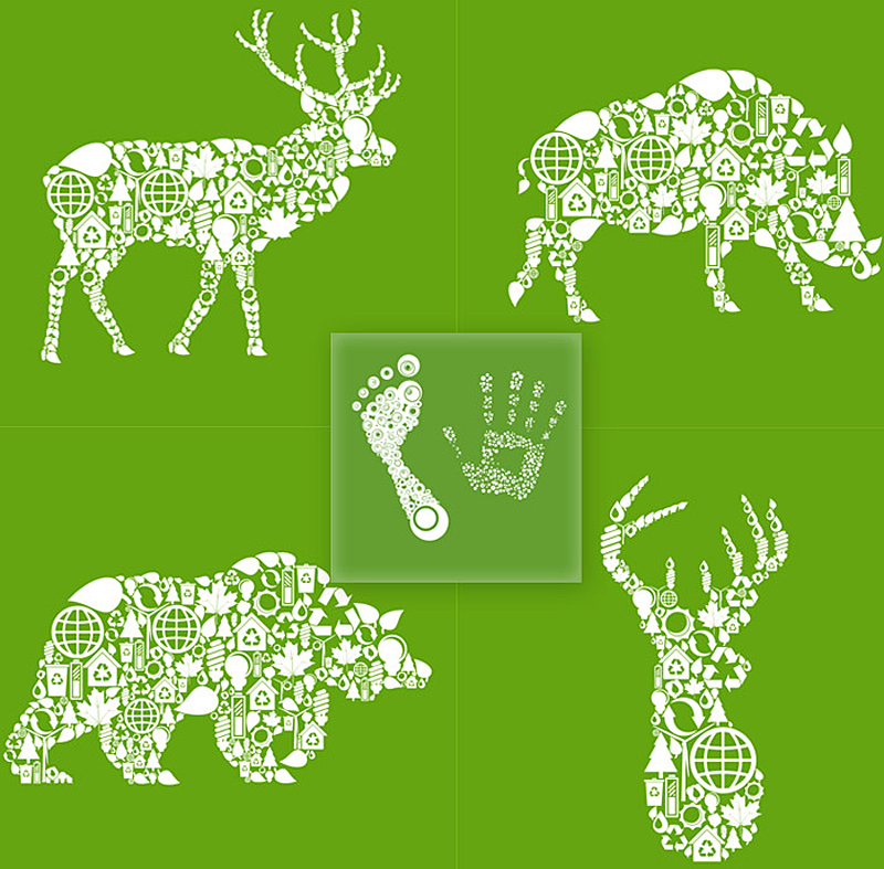 环保创意绿色动物花纹图案野猪鹿熊 脚掌手印海报矢量图素材A848