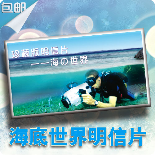 海底世界明信片  珊瑚  潜水 梦幻水族馆 海豚带鱼 贺卡创意 包邮