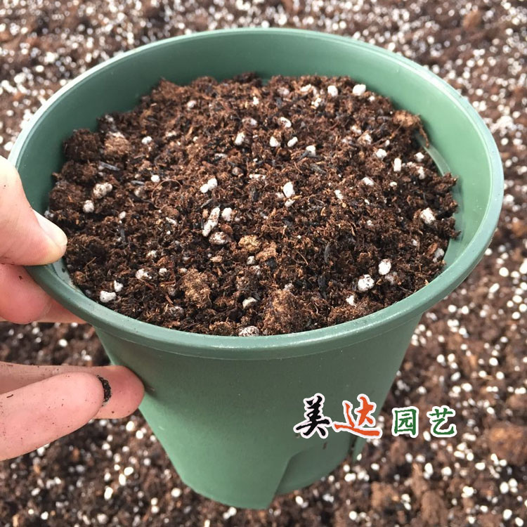 15厘米小一加仑控根盆  3套盆土的价格   透气塑料花盆 小苗换盆