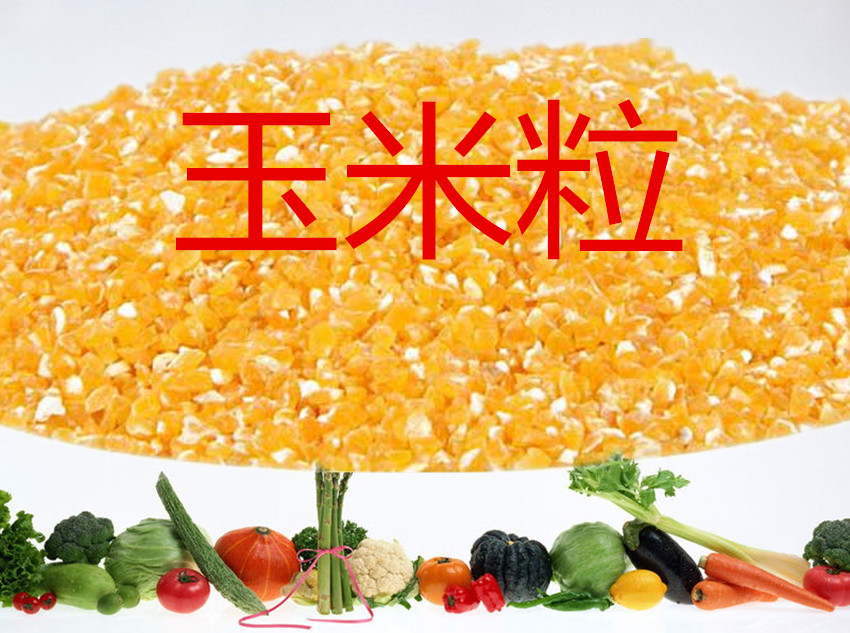 贵州特产玉米渣 玉米糁玉米粒碎片 小粒 粗粮 五谷杂粮500g包谷粒