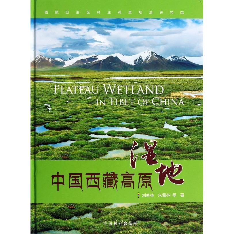 中国西藏高原湿地 西藏自治区湿地自然生态系统环境管理保护研究图书 水系湿地公园植被建设环保工程规划设计技术专业知识书籍