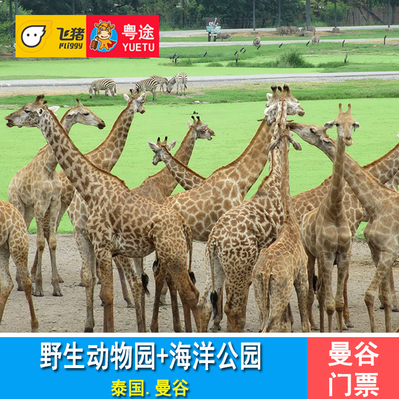 [曼谷野生动物园-野生动物园+海洋公园]泰国野生动物园门票safari world