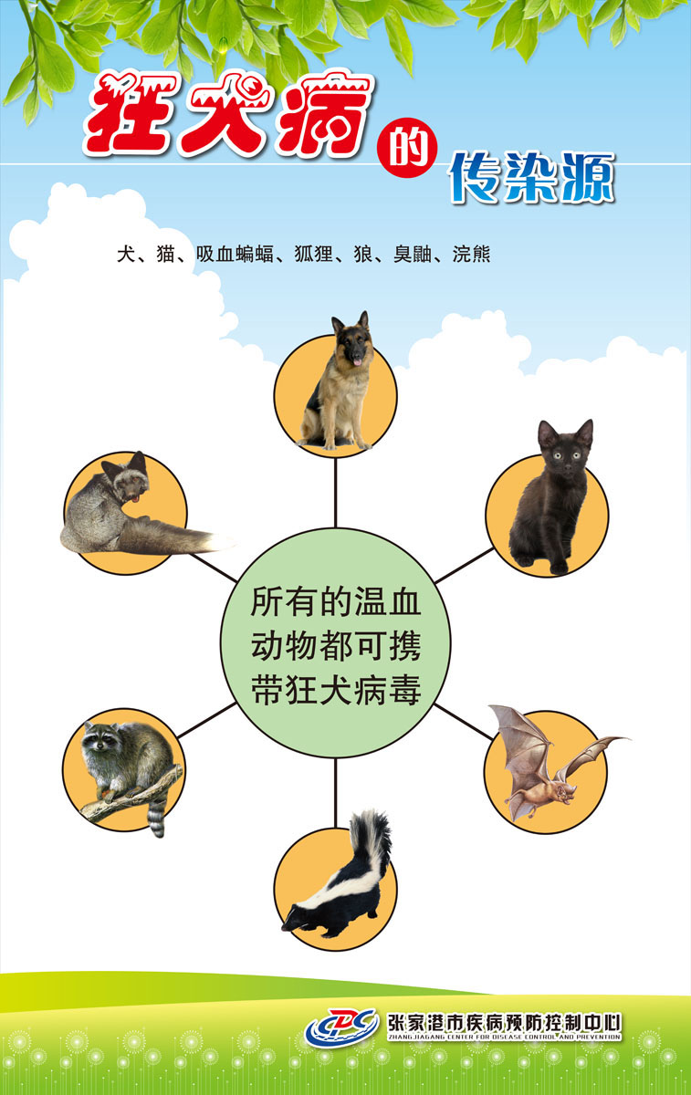 海报印制658素材731狂犬病症状传染源传播防知识0