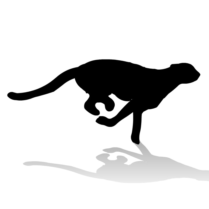 侧面循环奔跑的豹子逐帧动画flash动画源文件猫科动物跑步动作