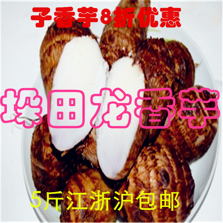 舌尖上的中国 兴化芋头龙香芋 芋头种子 （此一斤价格）5斤包邮
