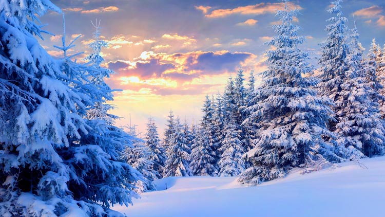 20装饰画贴图海报 雪景大雪风景美图自然景观 白色雪花贴图壁纸