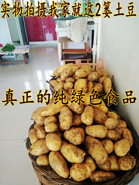 炖豆角土豆