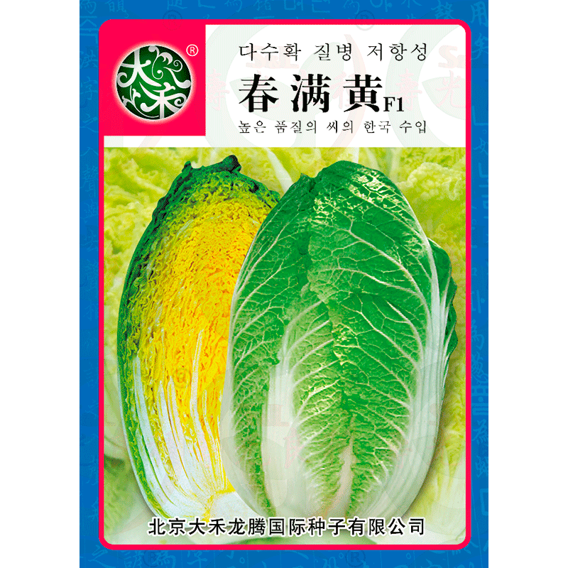 大白菜种子春满黄心高产杂交春秋泡菜韩国进口蔬菜莱寿光种孑种籽