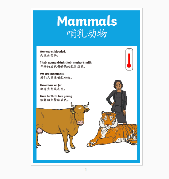 中英文动物种类习性生活习惯海报早教启蒙幼儿园教室装饰教具A4