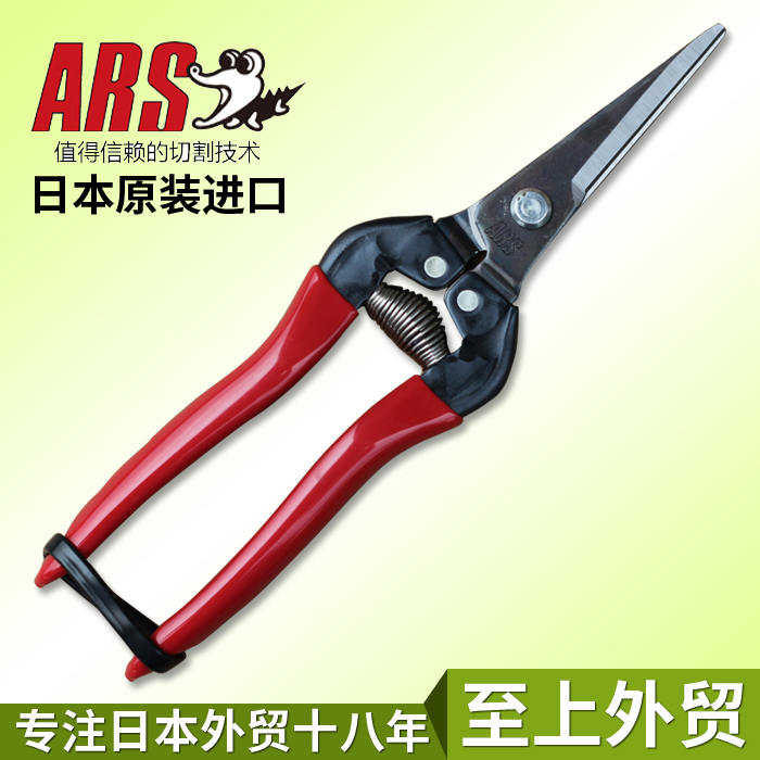 日本进口爱丽斯ARS 300L盆景园艺工具采果剪稀果剪长嘴摘果剪芽剪