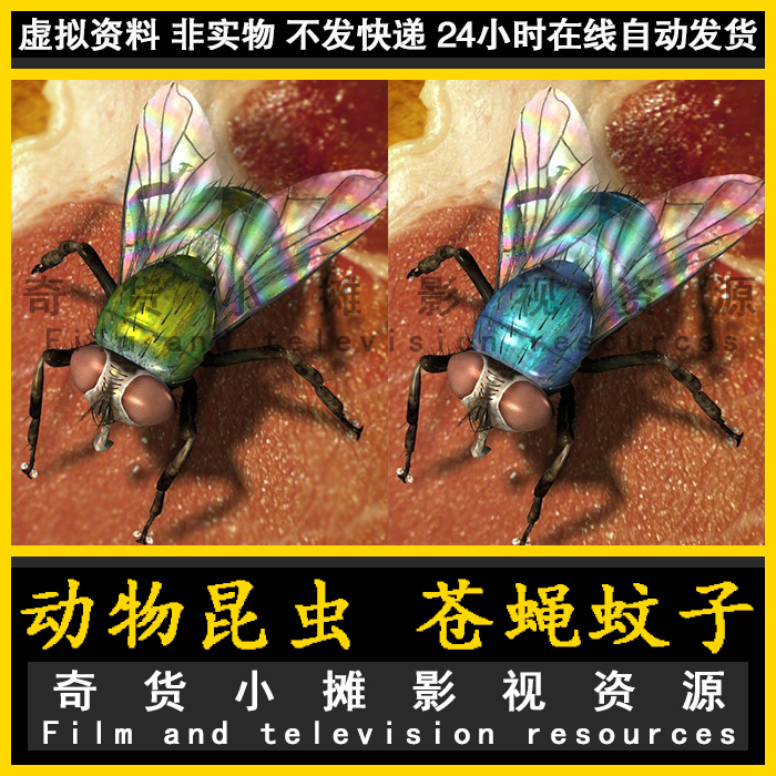 maya fbx格式 影视动画四种样式的苍蝇及其群集动画3Dmax模型