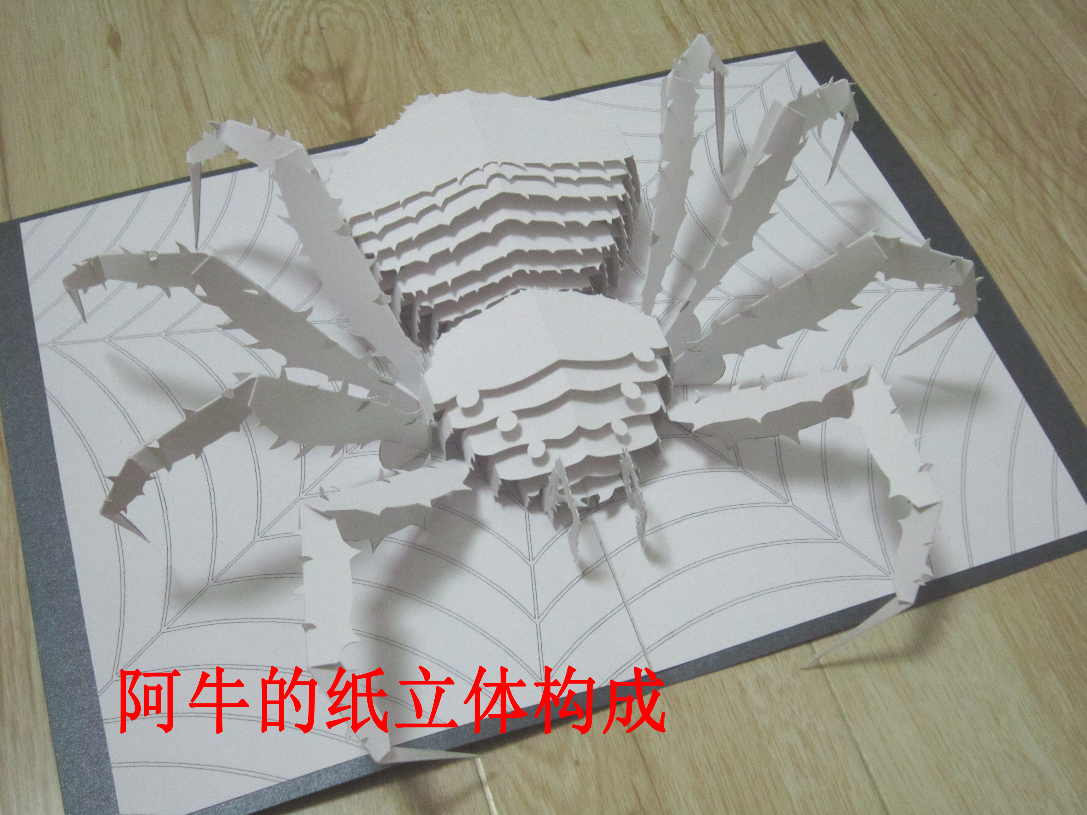 昆虫动物折纸模型：蜘蛛  立体仿生构成作业  手工创意生日礼物
