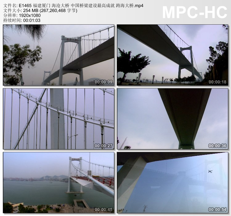 福建厦门海沧大桥 中国桥梁建设成就跨海大桥 高清实拍视频素材