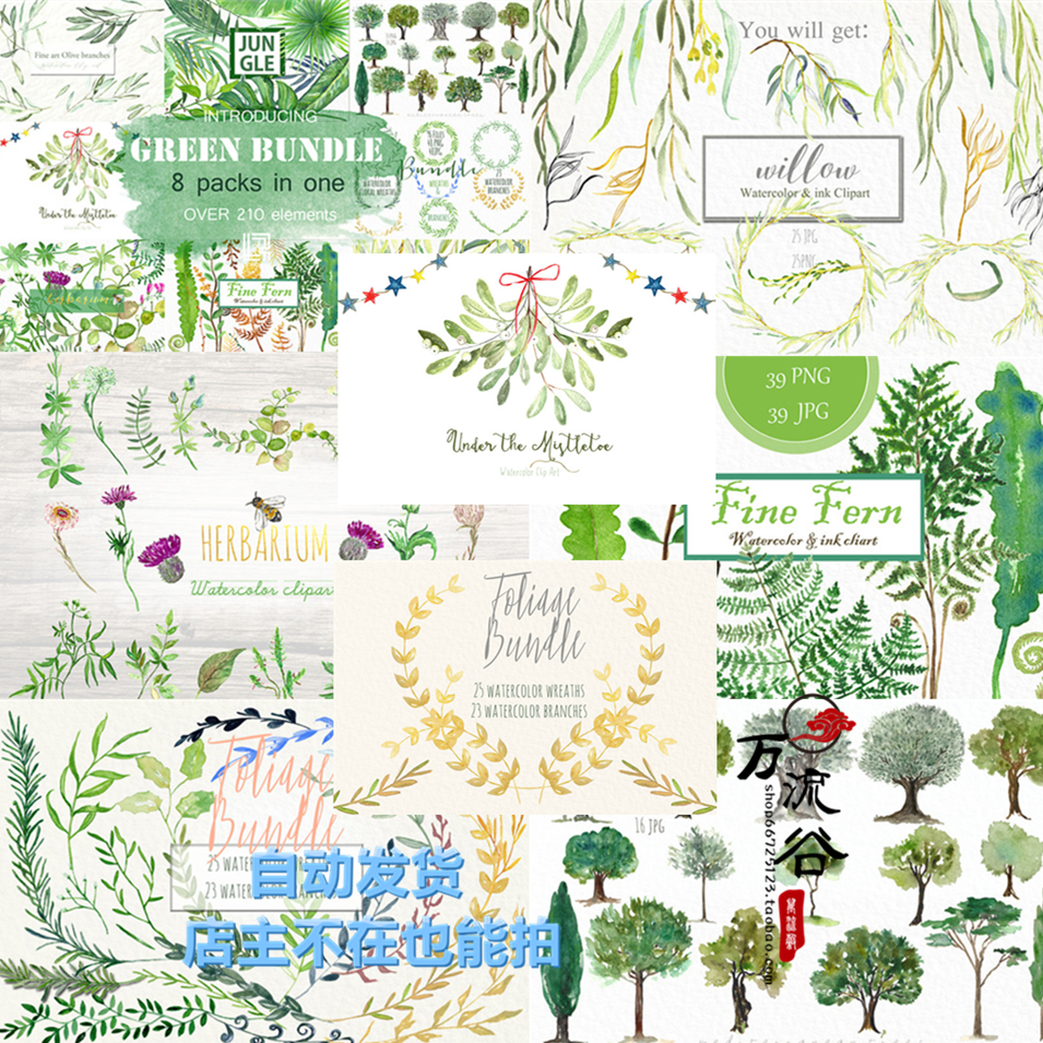 唯美清新淡雅绿色水彩手绘叶子植物树木枝条图案 PNG免扣设计素材