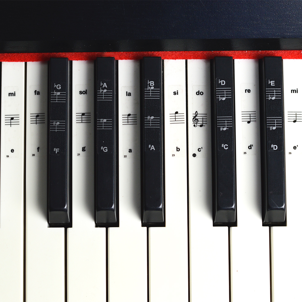 琴键贴纸钢琴电子琴手卷通用五线谱自学入门识谱记谱读谱贴膜配件