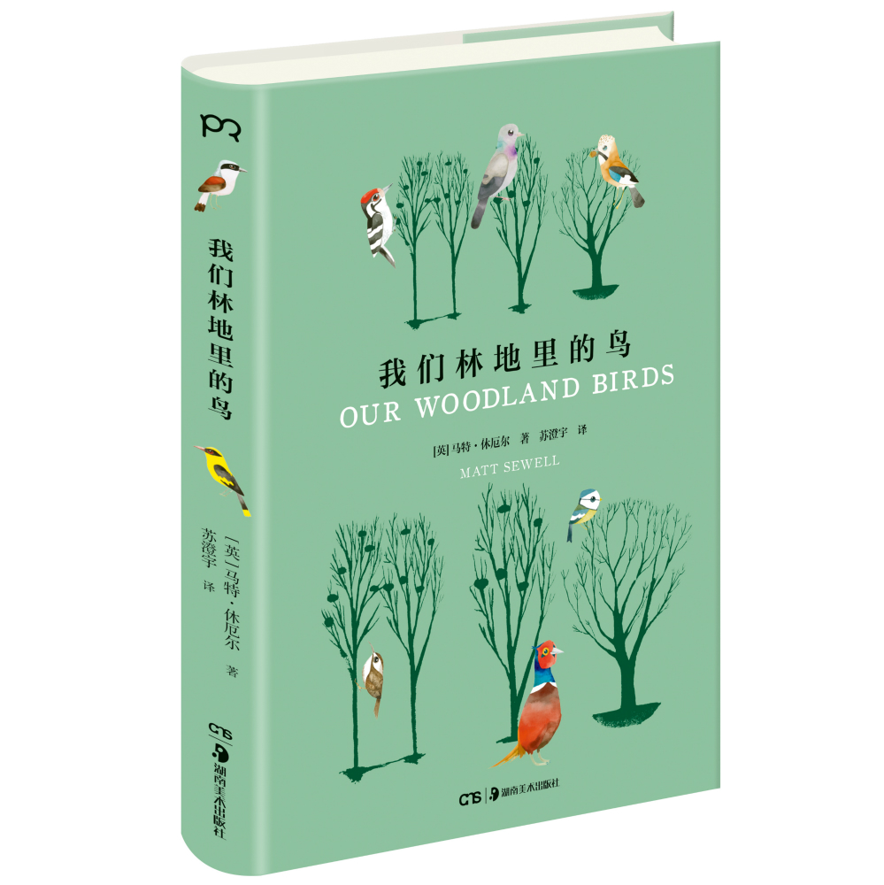 我们林地里的鸟 [英]马特·休厄尔 著 苏澄宇 译 图文集 写给大人与小孩的艺术科普读物 迷人鸟类世界 浦睿文化 正版