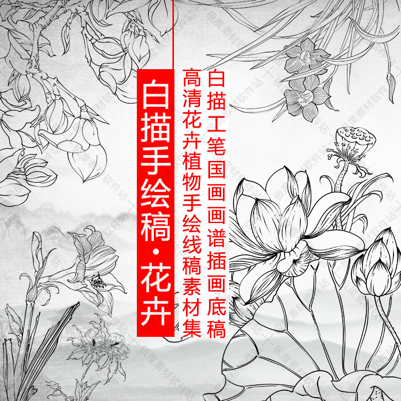 高清花卉植物手绘线稿素材集 白描工笔国画画谱插画底稿