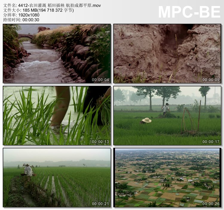 农田灌溉稻田插秧航拍成都平原 实拍视频素材