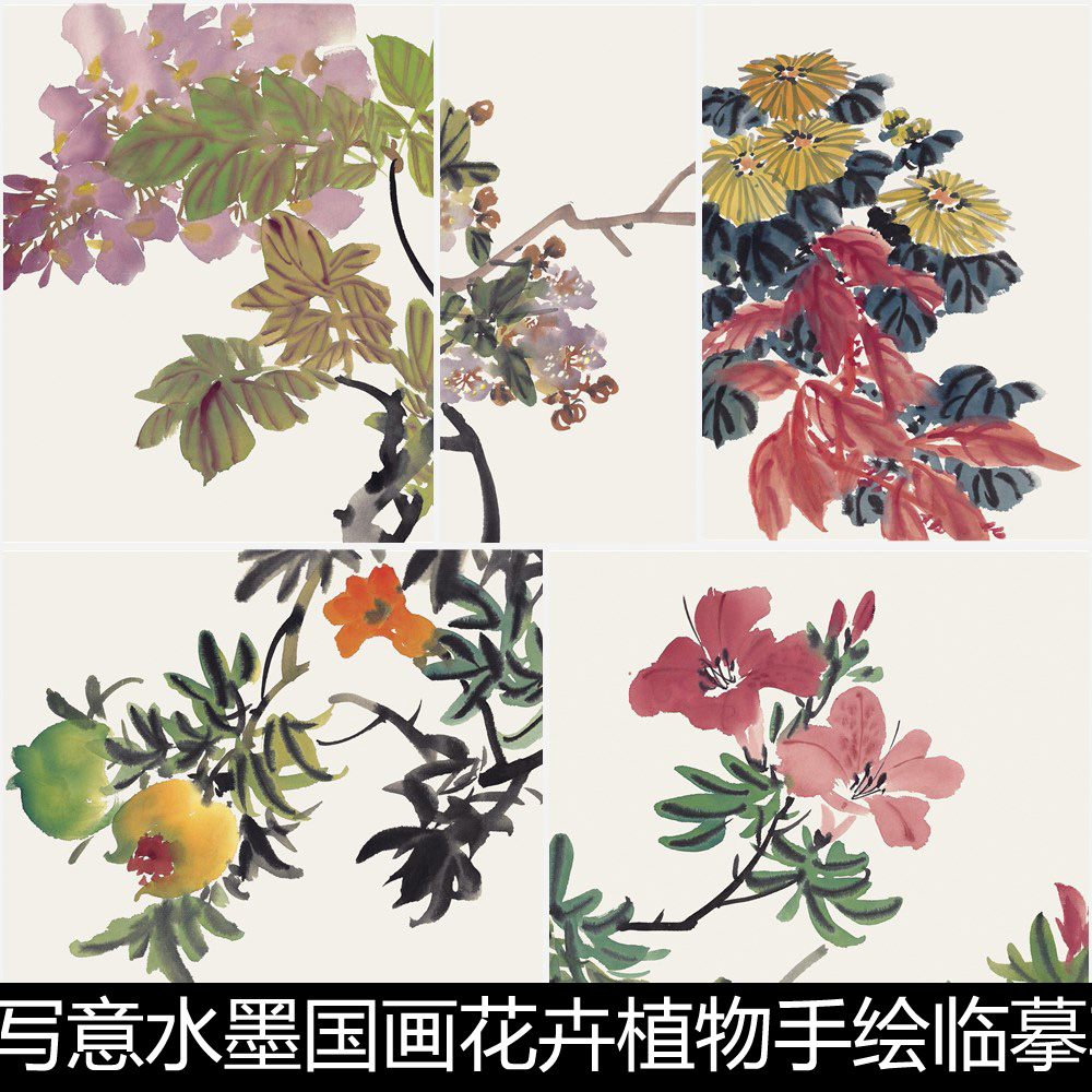 ARB中国传统绘画写意水墨国画花卉植物手绘临摹非高清素材资料