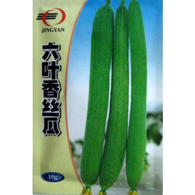 六叶香丝瓜种子 早熟皮薄长丝瓜种子 北京春秋丝瓜种子蔬菜种子