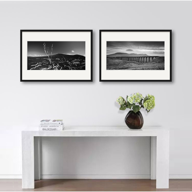 黑白艺术摄影装饰画自然意境风景照片墙客厅书房个性挂画新品包邮