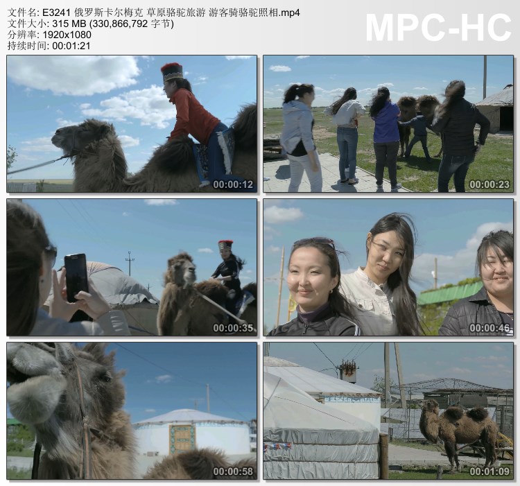 俄罗斯卡尔梅克草原骆驼旅游游客骑骆驼照相 高清实拍视频素材