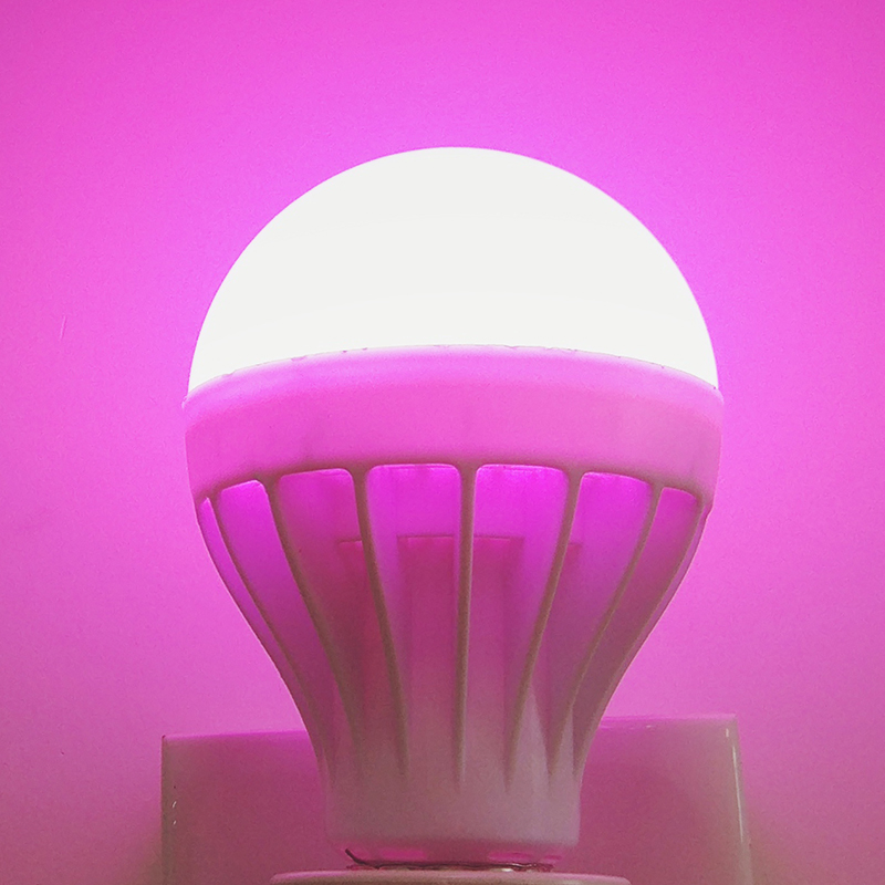 粉红色LED灯节能灯氛围调情灯泡E27螺口紫色粉紫灯粉色情调光源色