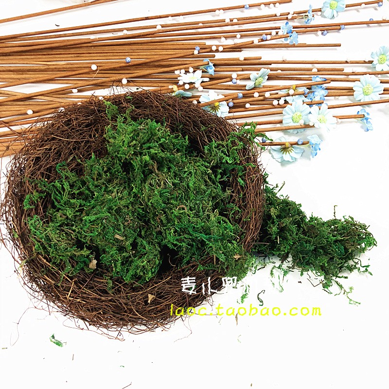 新品鲜活青苔微景观苔藓绿色植物干水苔幼儿园手工制作diy材料50g