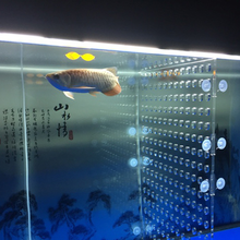 鱼缸隔离板隔网板 透明亚克力板挡板 盖板挡鱼 水族箱分隔板 隔断
