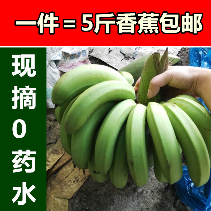 新鲜绿香蕉5斤广东水果胜海南芭蕉现摘无催熟剂超甜香蕉包邮