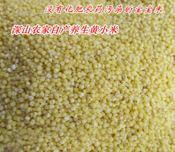 新米五谷杂粮神农架农家健康营养黄小米粟米月子米宝宝米250g