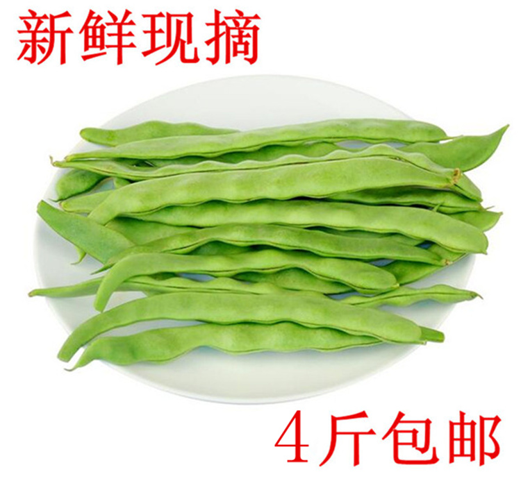 芸豆四季豆新鲜蔬菜山东菜豆大扁豆非东北种植芸豆 黑龙江农产品