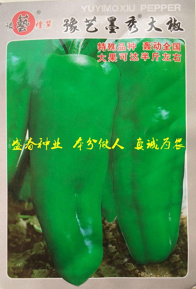 辣椒种子 豫艺种业 墨秀大椒 牛角椒 301类型 中椒六类型