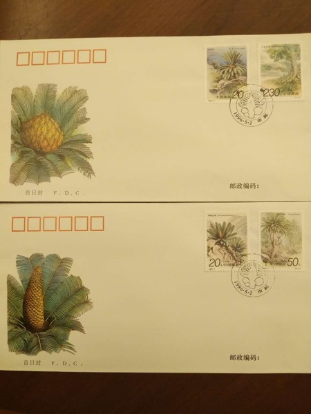 1996-7苏铁特种邮票首日封2枚全 活化石 铁树 濒危植物 种子植物