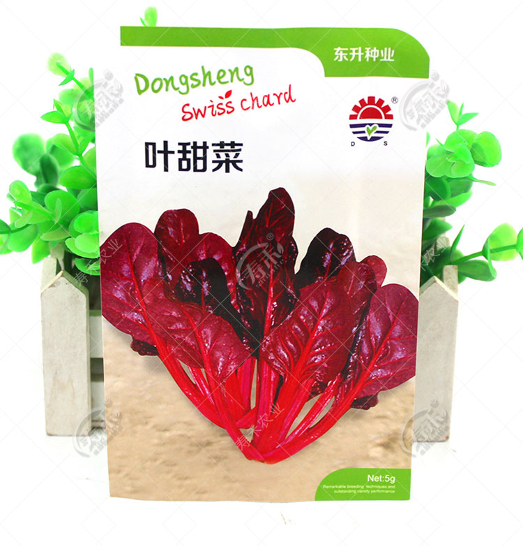叶甜菜种子红色金色甜菜/根紫菜头盆栽四季播秋季蔬菜种籽孑籽种