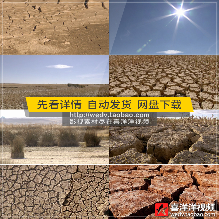 C506干旱土地农民枯萎水稻缺水农田干枯太阳刺眼旱灾环保视频素材