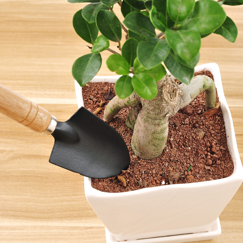 家庭养花工具种花园艺工具套装小铲子小耙子小铁锹三件套疏松土壤