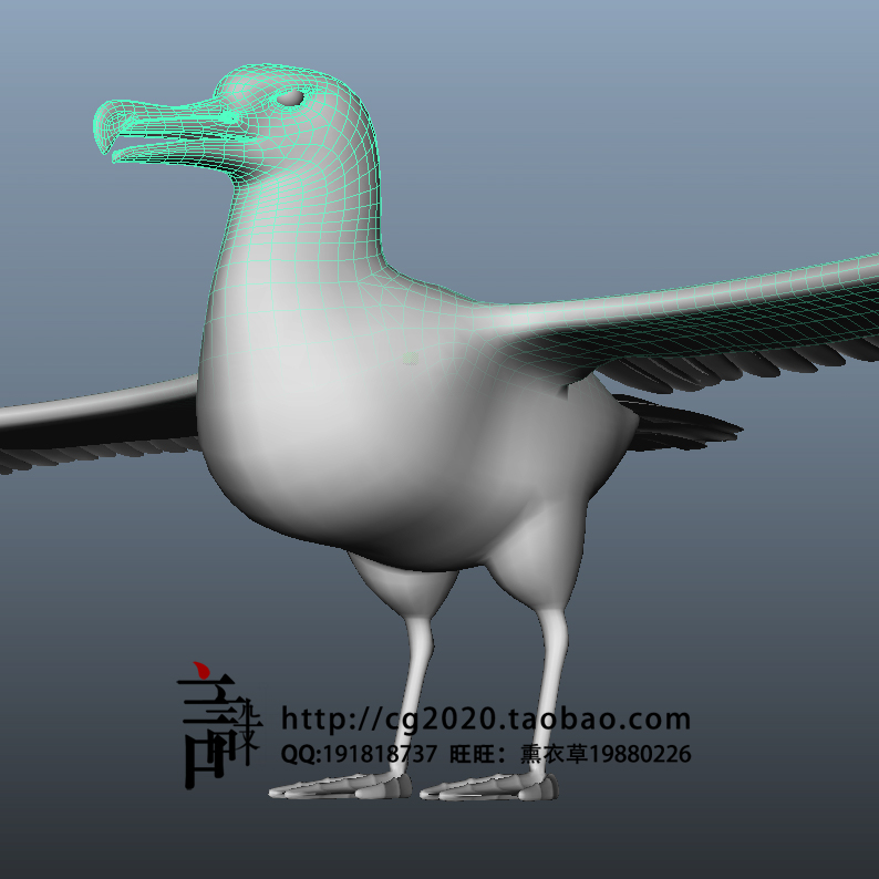 MAYA模型 鸟类 大翅膀鸟模型 动物模型 飞行动物 天上飞禽-02001