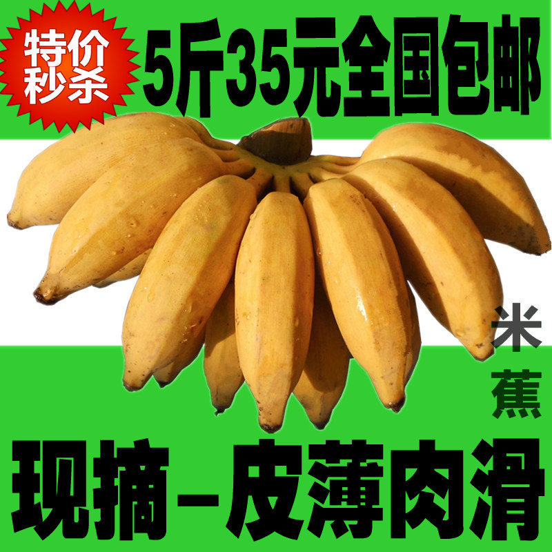 时令水果芭蕉苹果奶香蕉新鲜粉蕉果农现摘无催熟糯米蕉5斤包邮