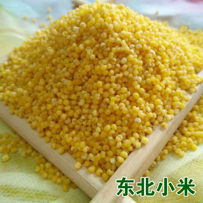 2023东北新小米农家自产小黄米月子米宝宝米500g/一斤粗杂粮